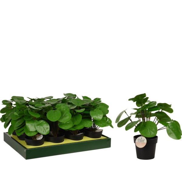 Φυτό Τεχνητό Pilea 25cm Μαύρο Σε Μαύρο Γλαστράκι 98x85mm